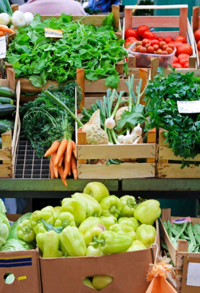 Fresh Finds Are Coming to Gainesville: A New Farmers Market Opens This May