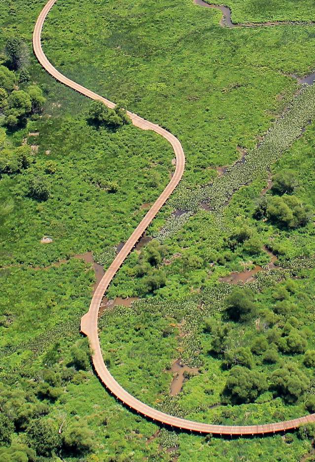 Neabsco Creek Boardwalk Drone view