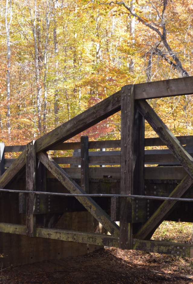scenic road trip in the fall - Prince William Forest Park