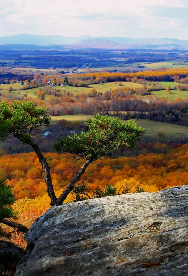 Picture-Perfect Fall: Where to See Autumn’s Best Views in Prince William