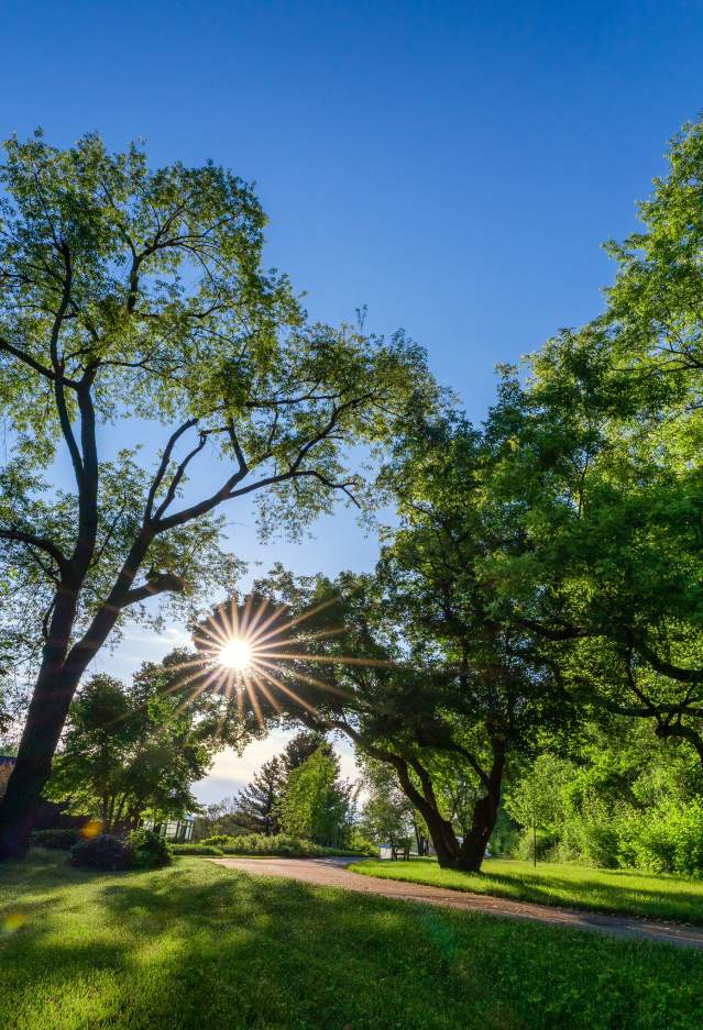 Klehm Arboretum - sunrise