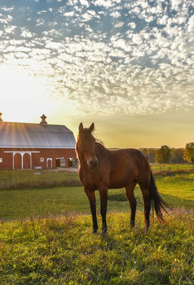 Farm at Prophetstown