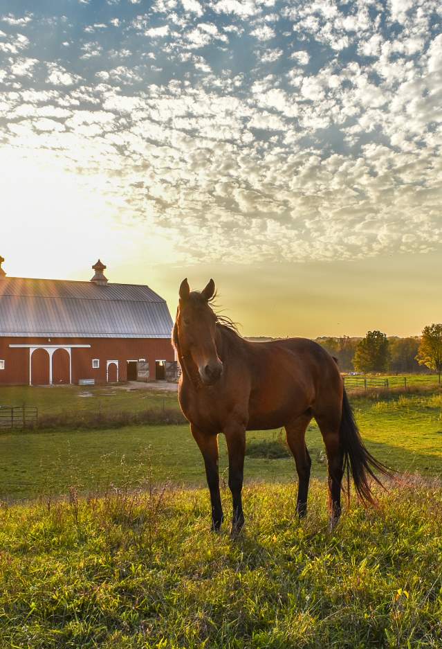 Farm at Prophetstown