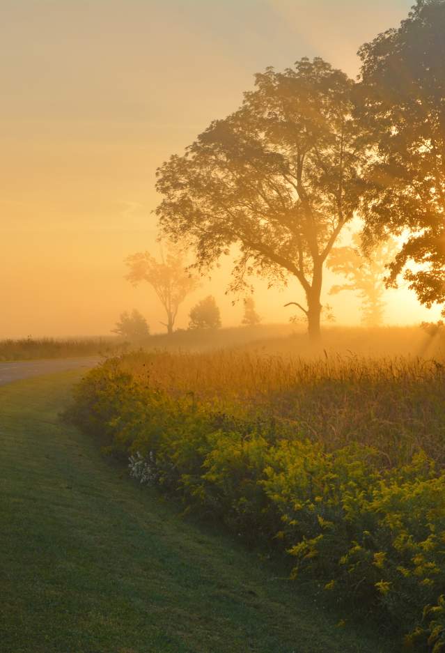 Prophetstown State Park