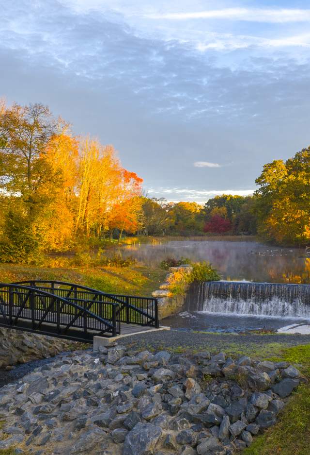 Butterfly Chase Farm - Fall
