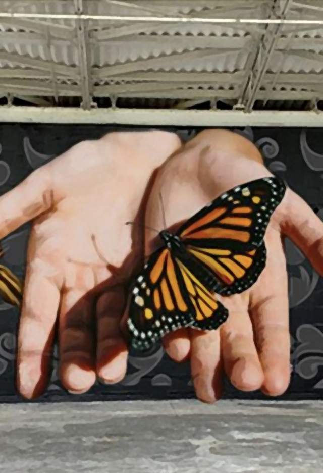 Hand at Nature