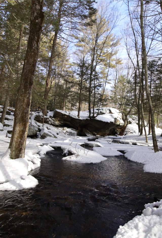 Mowry Conservation Area
