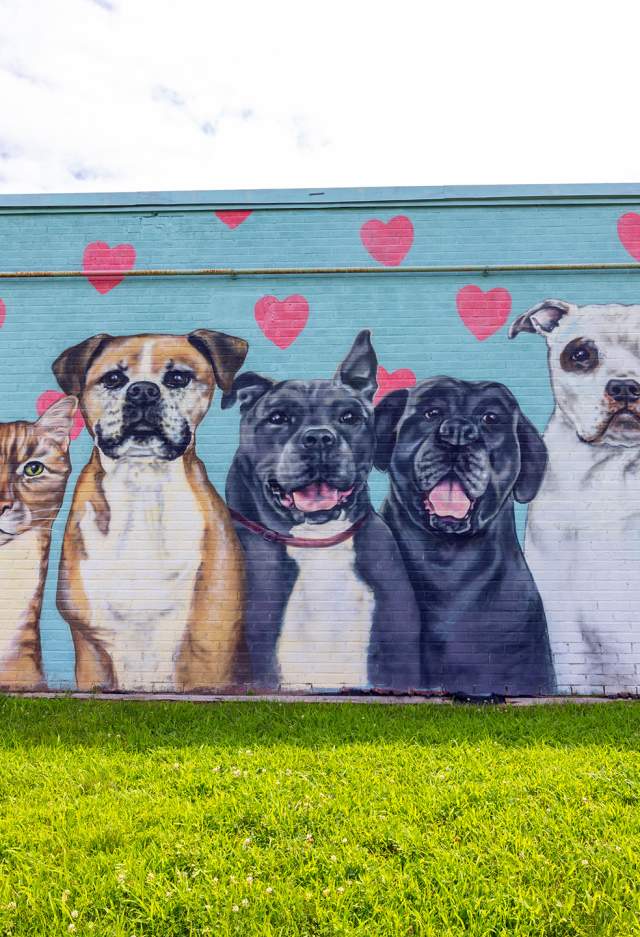 New England Humane Society
