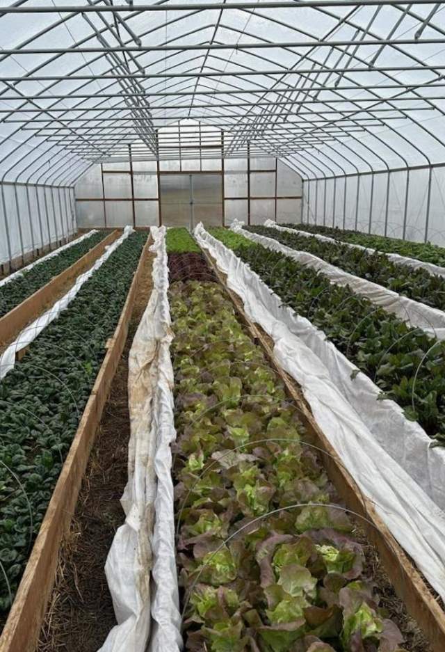 Sustainable Businesses in York County, PA