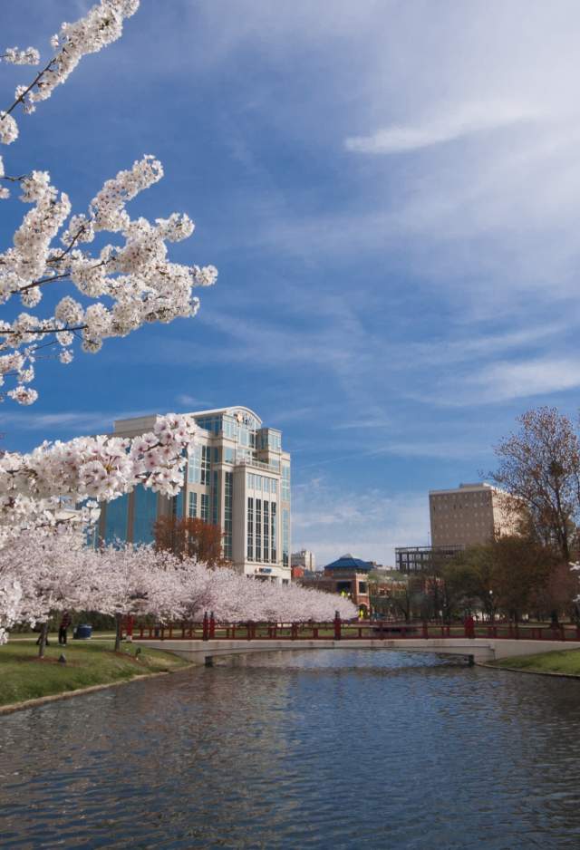 Big Spring International Park