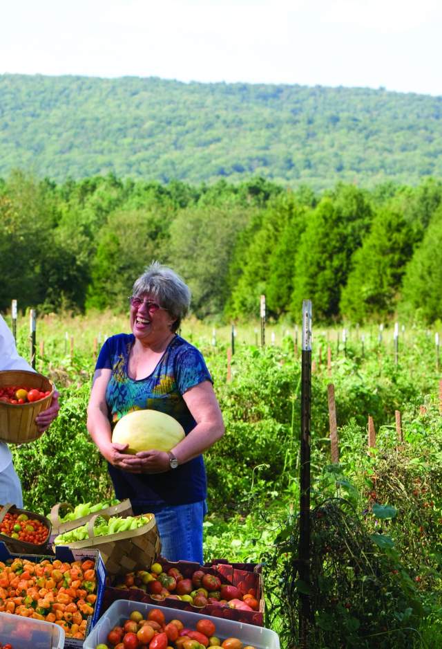 Farm to Table Food