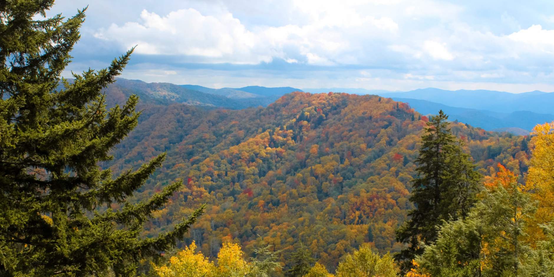 Gatlinburg Fall Foliage