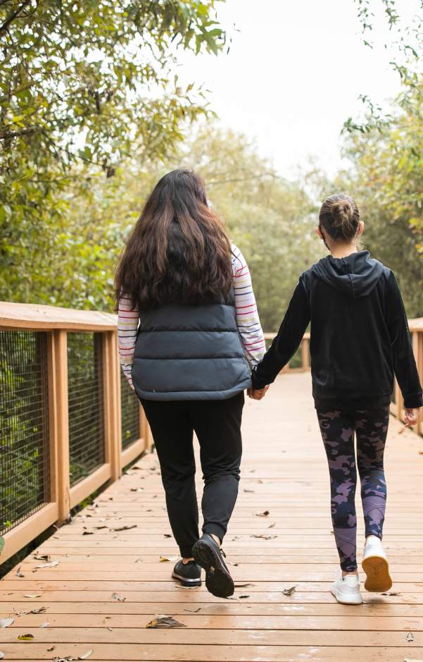 Springbrook Boardwalk at the Black River Riparian Forest
