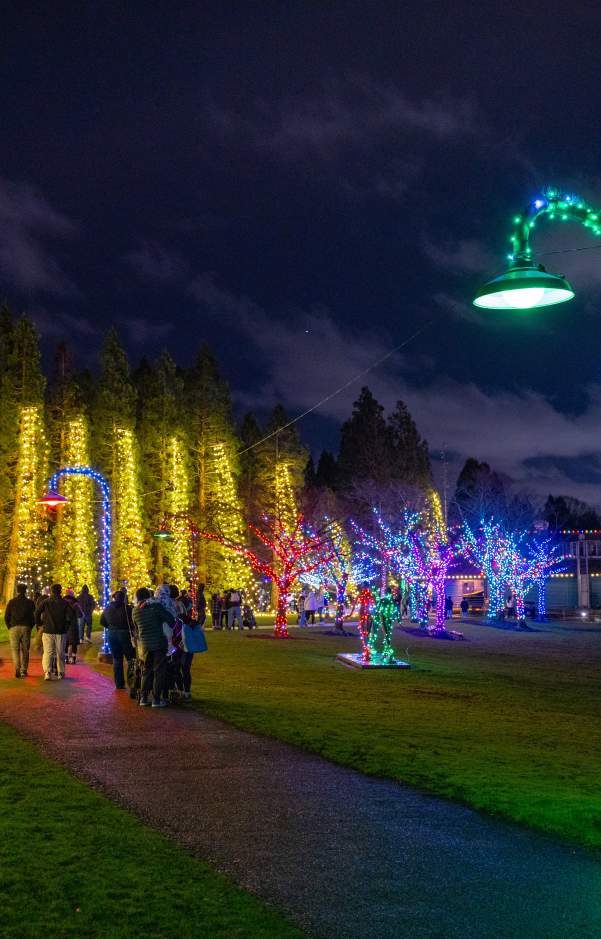 Holiday Lights at Coulon