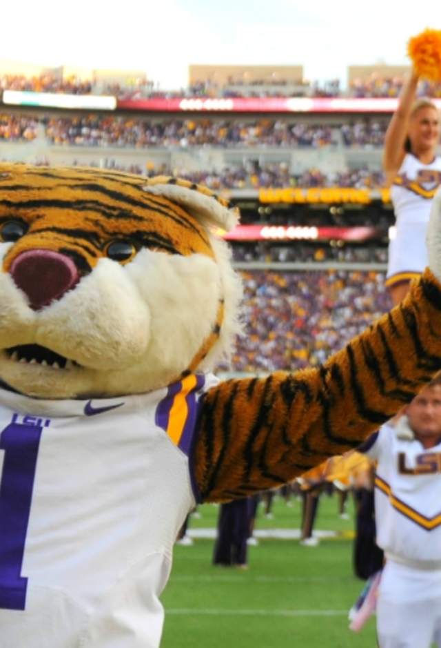LSU Mascot and cheerleaders working the crowd at a game