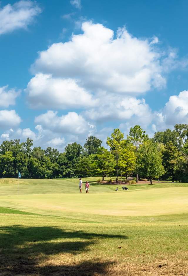 Golfing