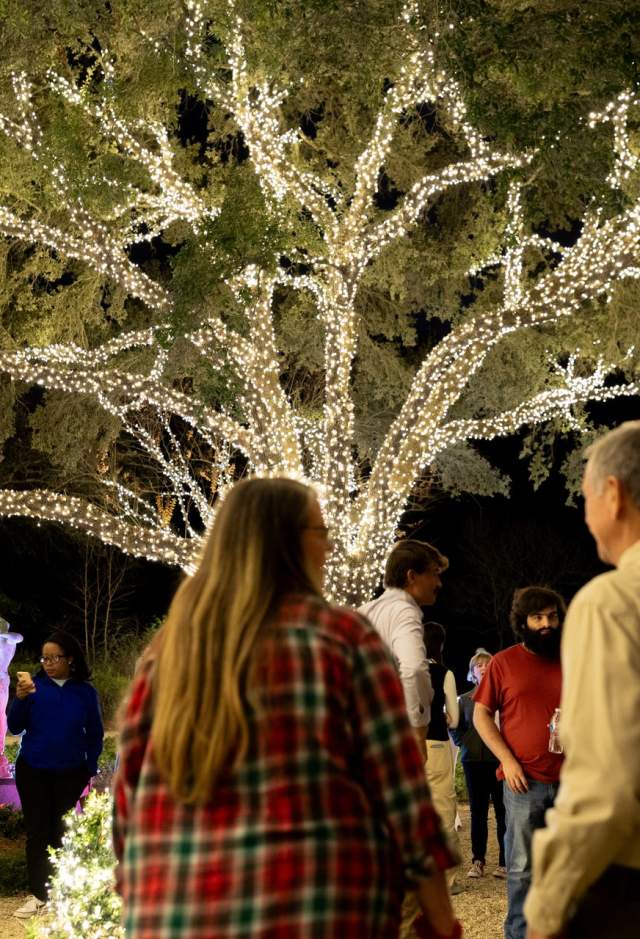Louisiana Lights