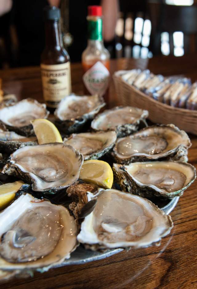 Oysters