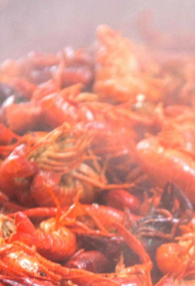 Big tasty pile of boiled crawfish