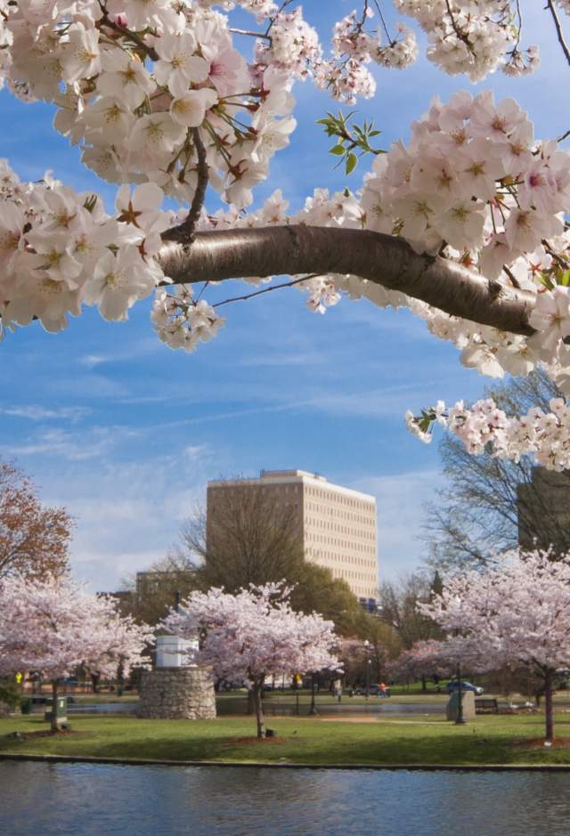 Big Spring International Park