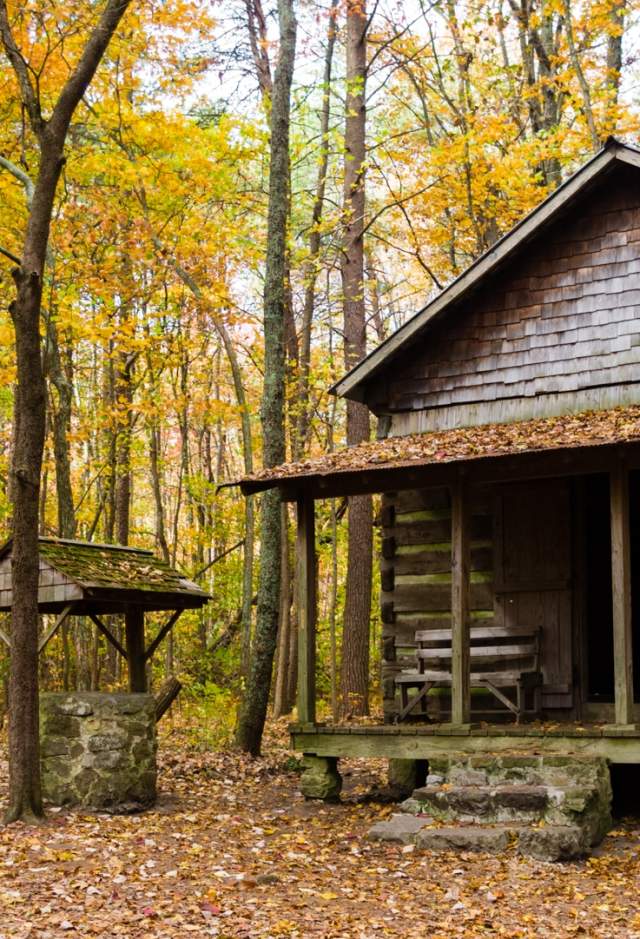 Exterior view of the Green Mountain Cabin during fall in Huntsville, AL