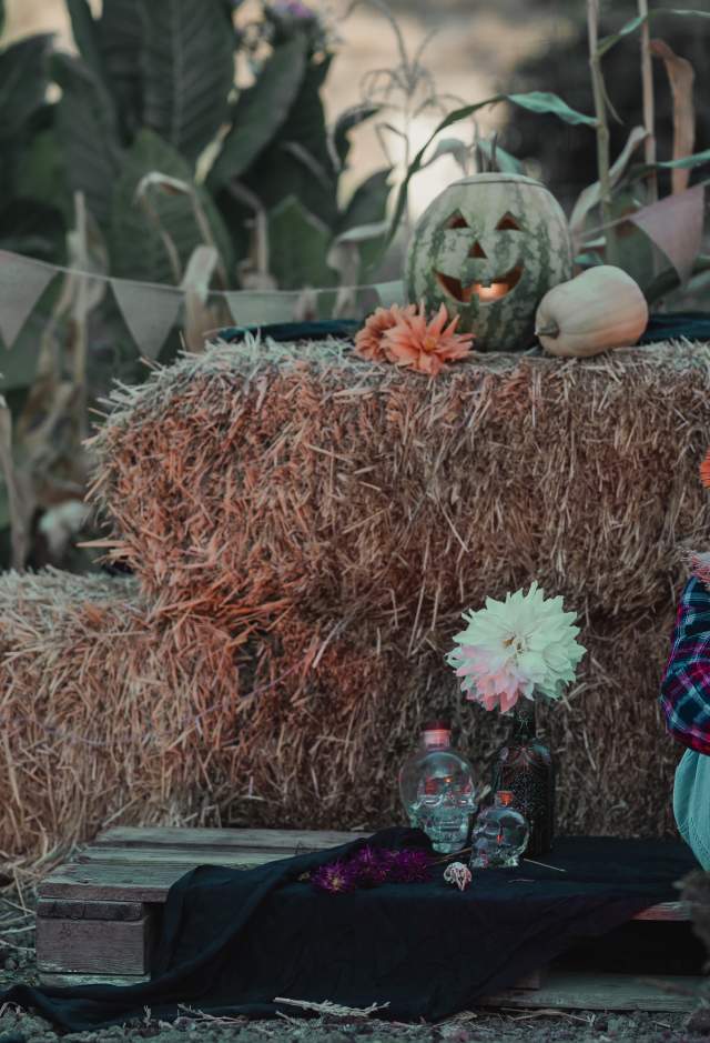 Halloween Scarecrow Evergreen