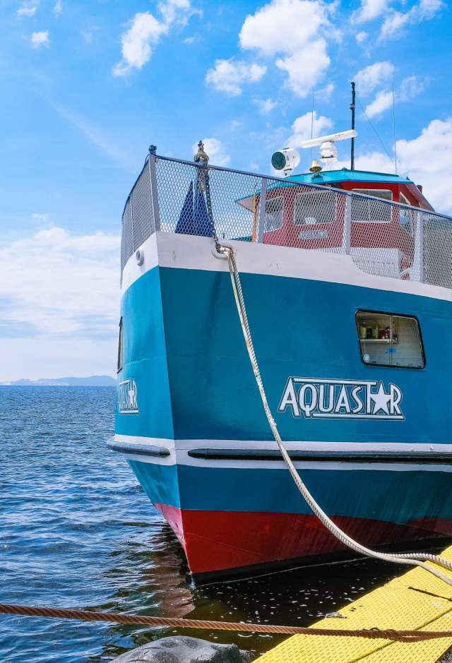 Aquastar-Bow-3-scaled
