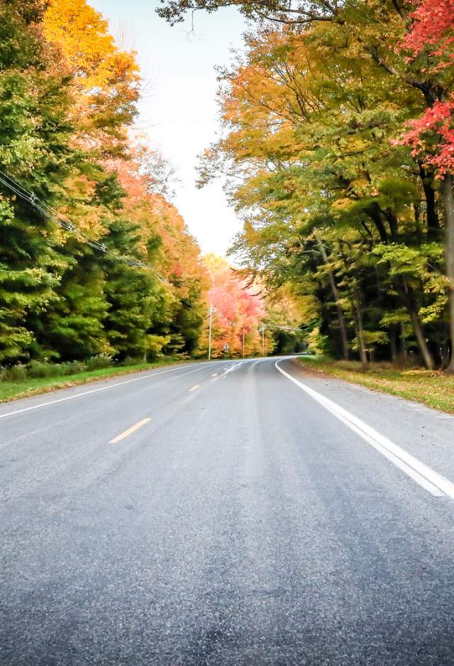 Fall colors on single lane road
