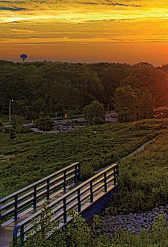 wauwatosa connect with us park sunset