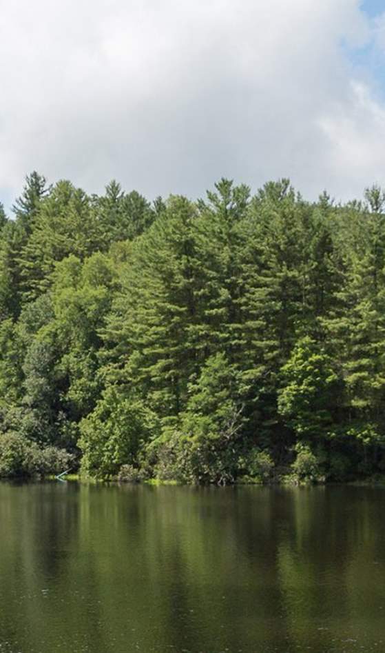 Balsam Lake