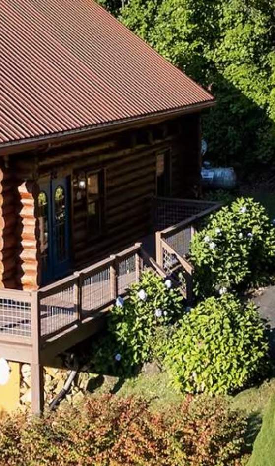 Red Lantern Lodge Cabin