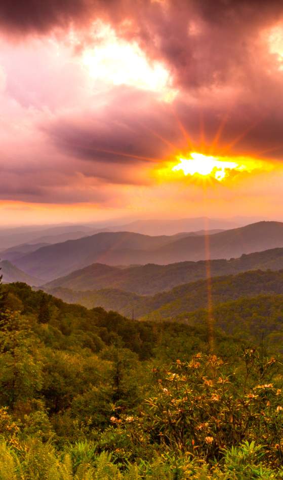 Great Smoky Mountains National Park