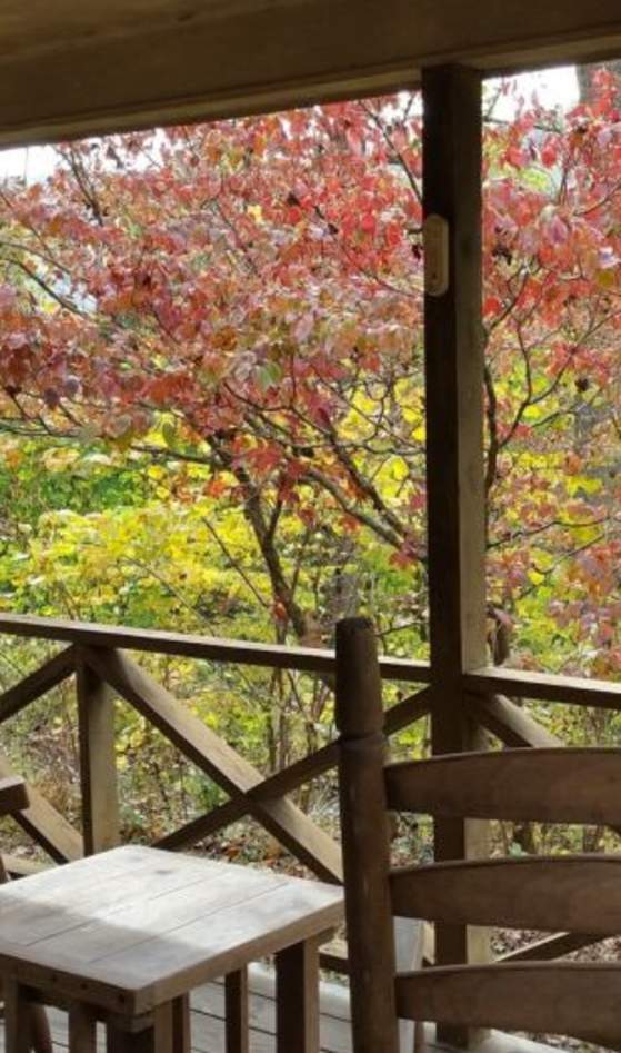 chairs on porch overlooking trees