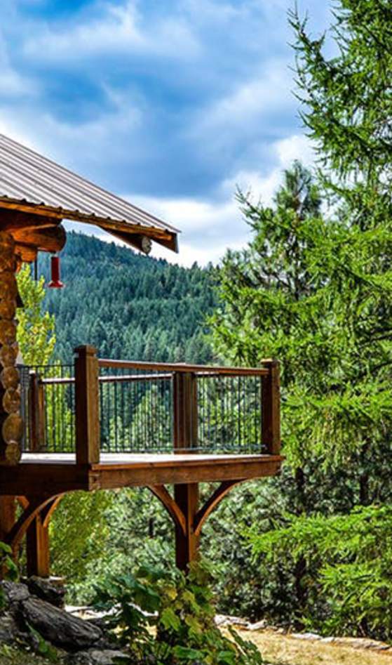 cabin amongst trees