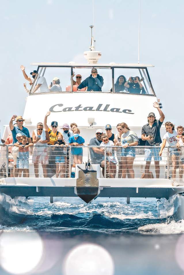 Newport Landing Whale Watching VIP Yacht Rentals