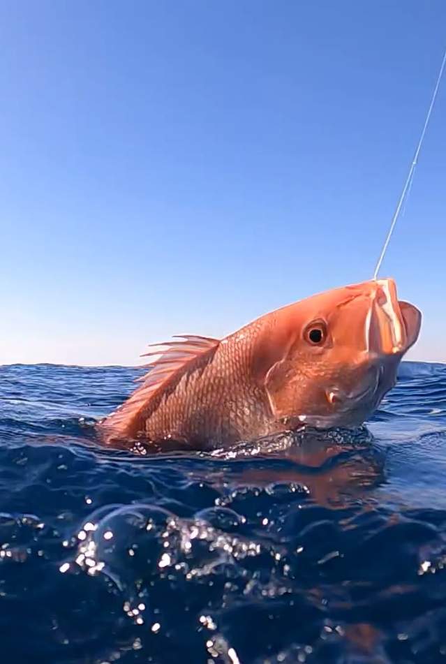 Eats Fishing Time EP1: How to fish in Manu Bay 