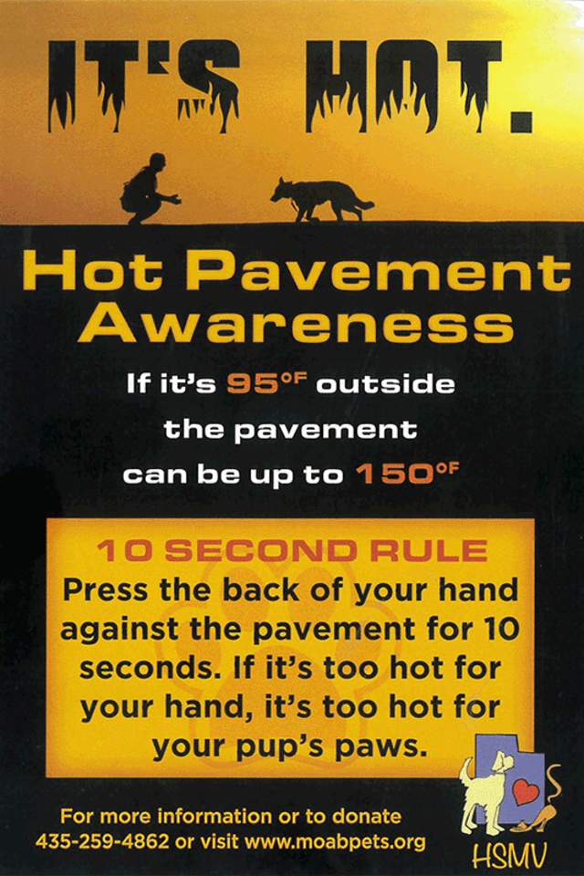 Pet Safety