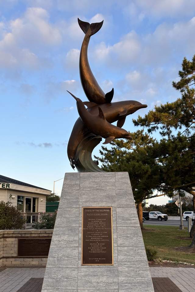 Dance of the Dolphins