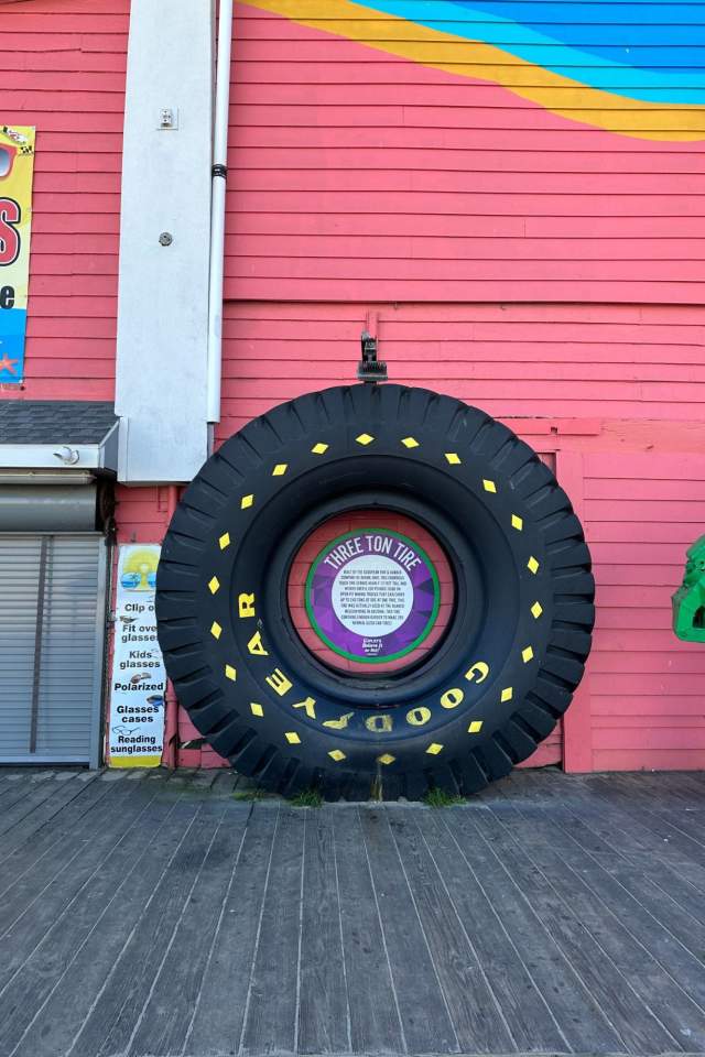Ripley's Believe It or Not! Tire