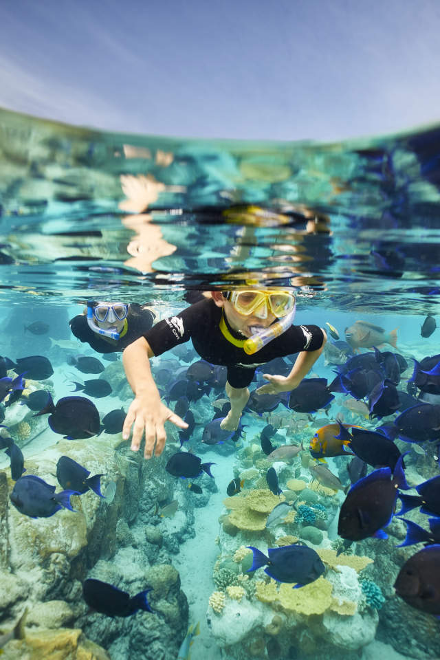 Kids snorkeling in the water with fish at Discovery Cove