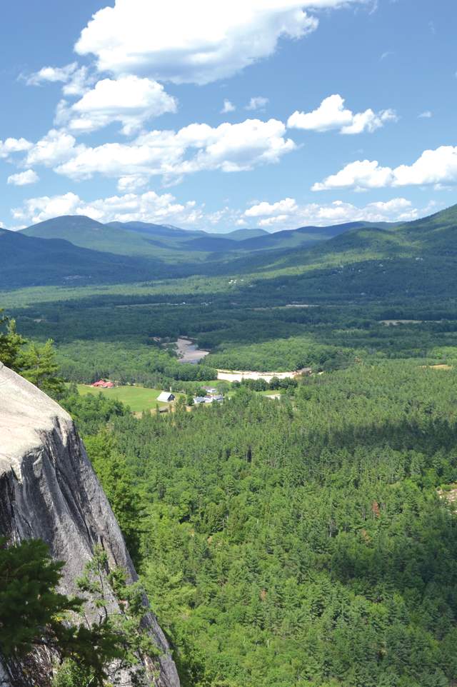 Summer in the White Mountains
