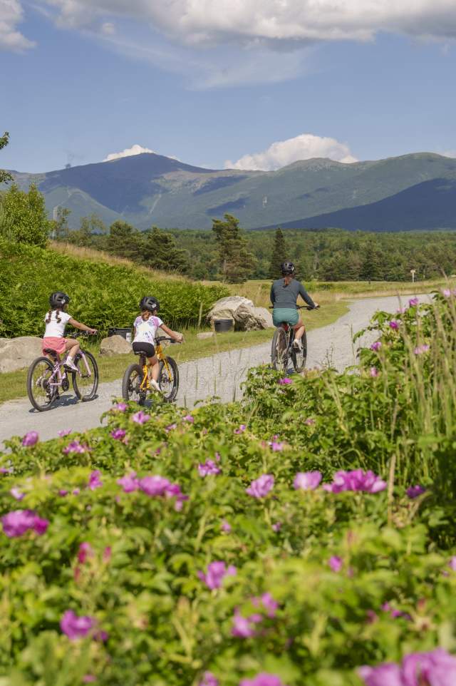 Mountain Biking at the Omni Mount Washington - family on bikes with flowers in foreground and mountains in background