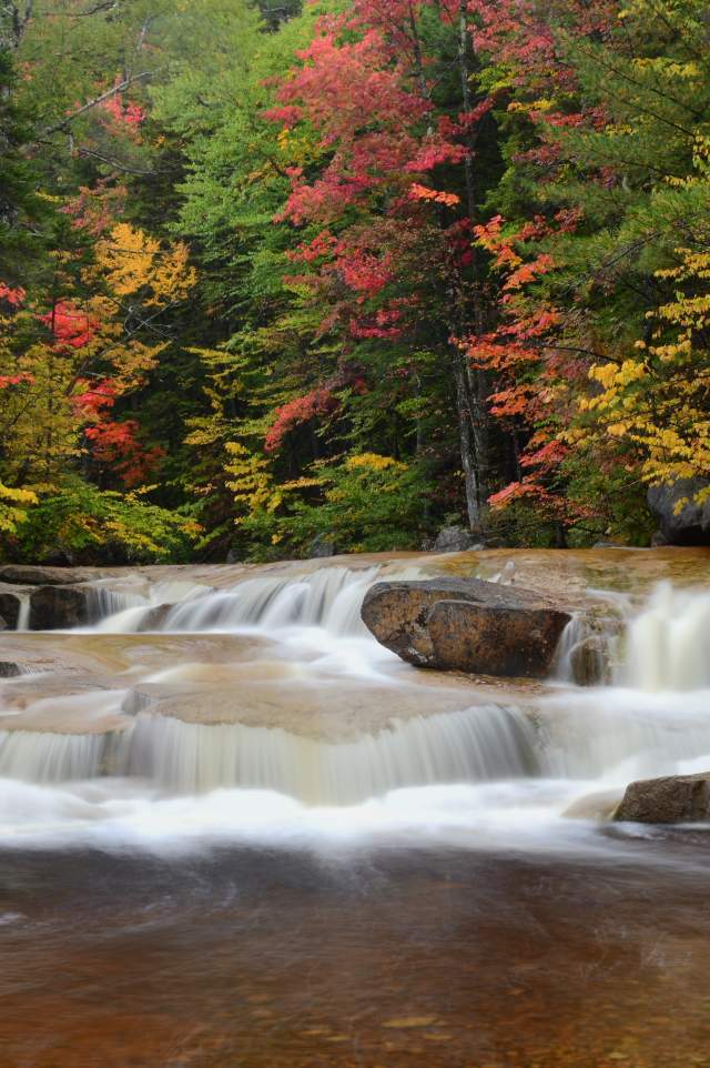 Foliage Kanc Highway-Robert Kozlow