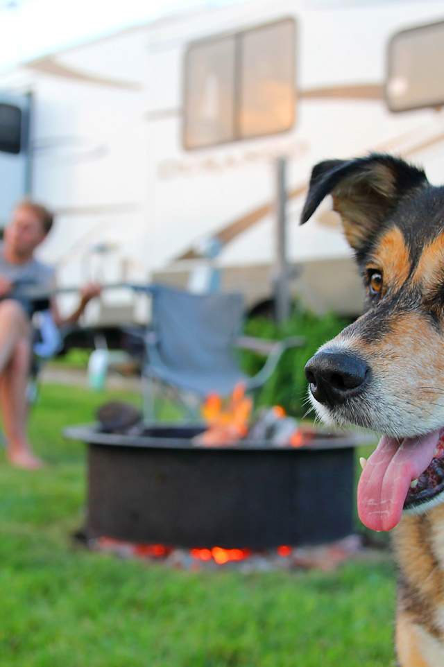 Pet Friendly Campgrounds