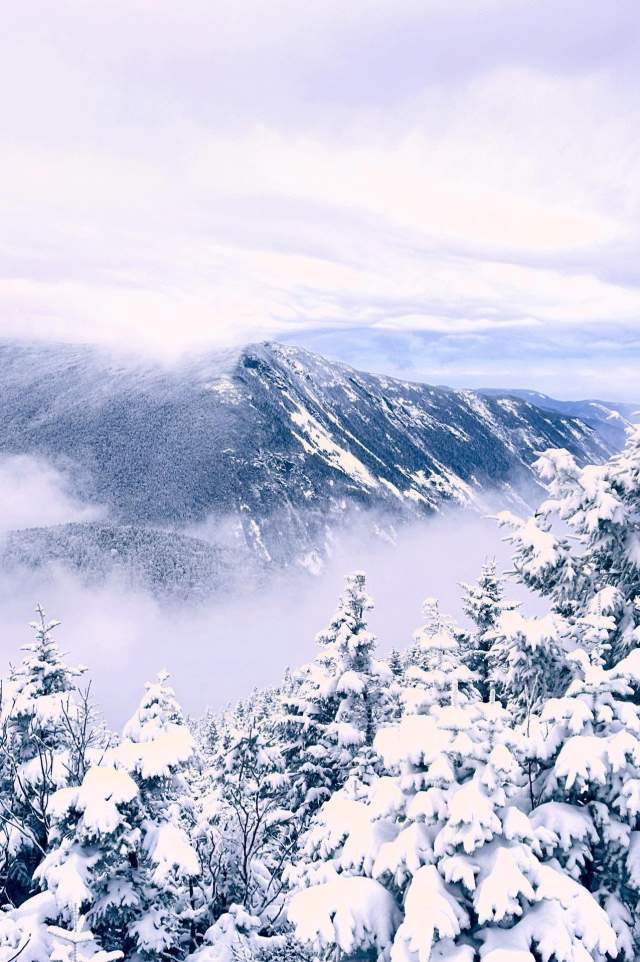 📸 @atalkinthewoods