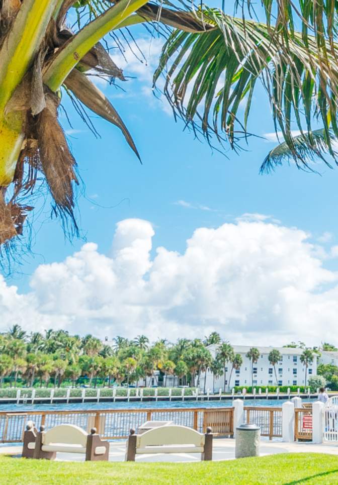 Palm trees and waterfront view of Hillsboro Inlet in Fort Lauderdale, FL