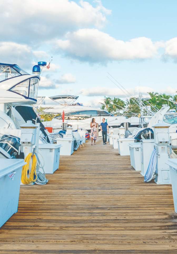 Nauti Dog Lighthouse Point