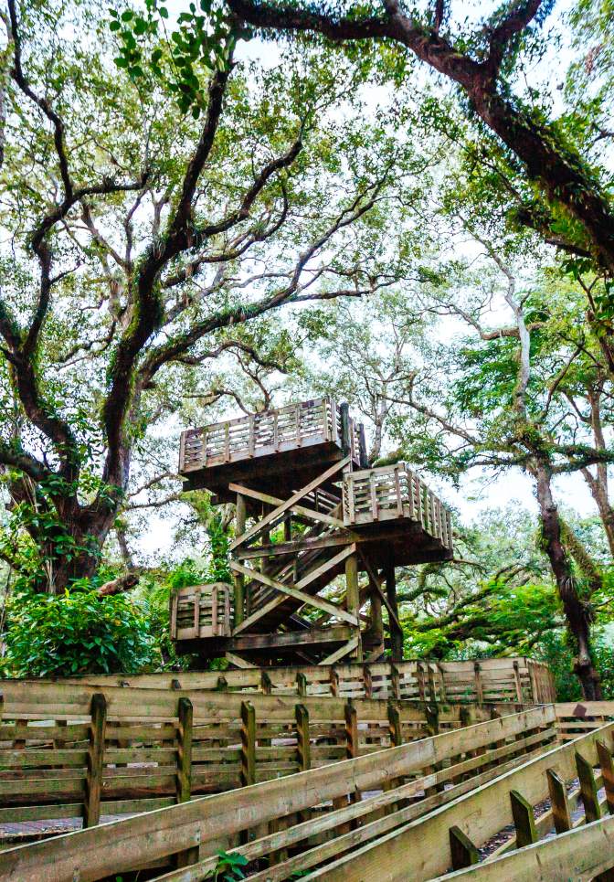 Tree Tops Park