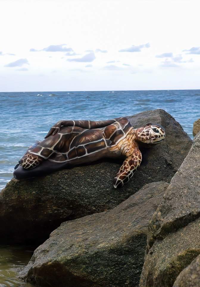 Sea Turtle - Avi Ram