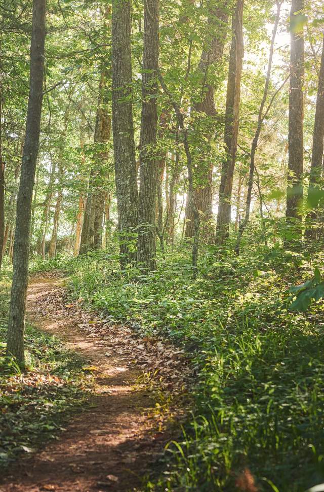 A Hiking Weekend In Oak Mountain State Park